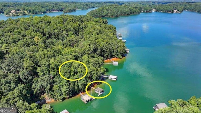 aerial view featuring a water view and a wooded view