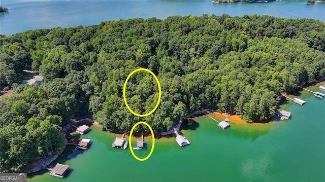 aerial view with a water view and a forest view