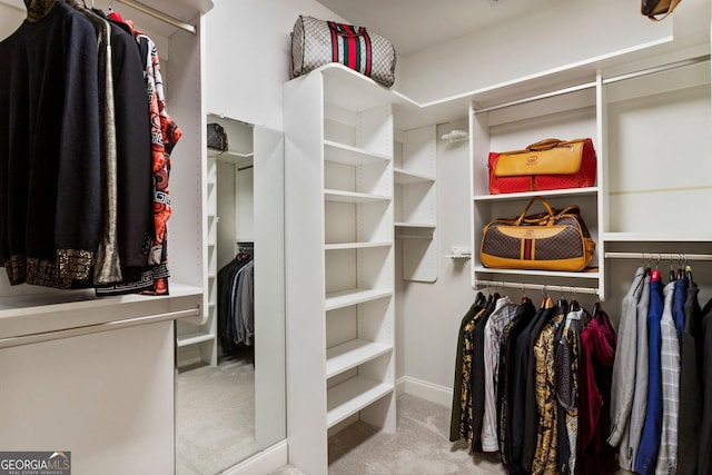 150 Inwood Ter, Roswell, GA 30075 - spacious closet with carpet flooring