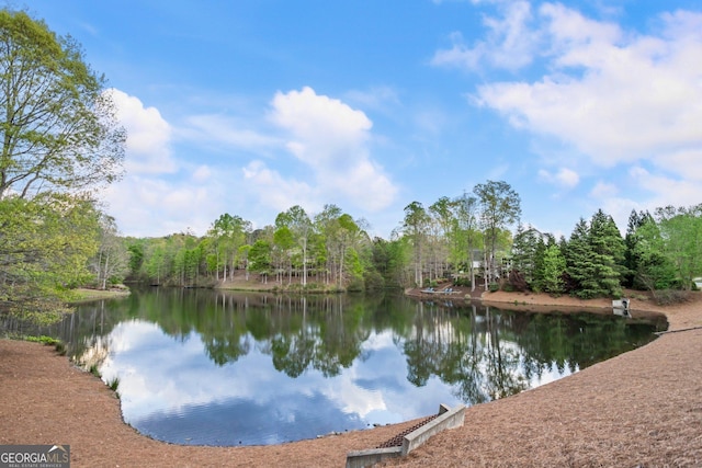 150 Inwood Ter, Roswell, GA 30075 - view of water feature featuring a wooded view
