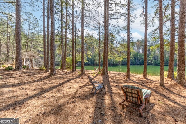 404 Golden Delicious Rd, Clarkesville, GA 30523 - view of yard with a water view