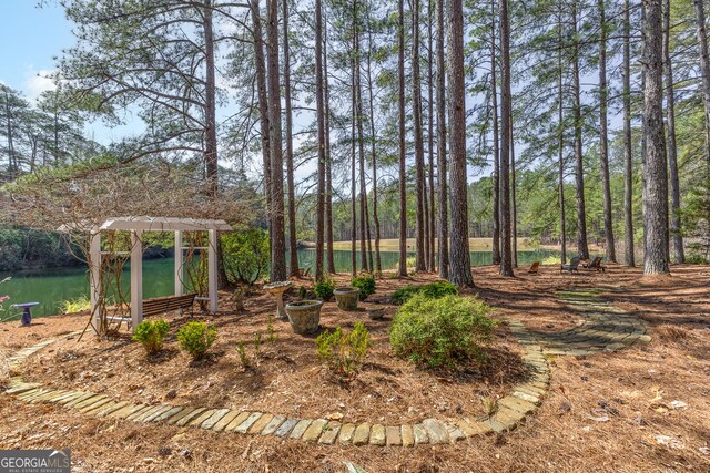 404 Golden Delicious Rd, Clarkesville, GA 30523 - view of yard