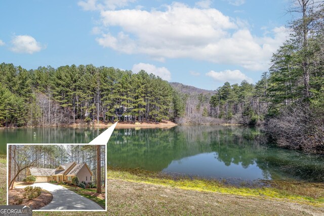 404 Golden Delicious Rd, Clarkesville, GA 30523 - property view of water with a wooded view