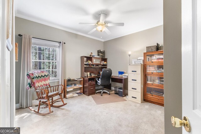 404 Golden Delicious Rd, Clarkesville, GA 30523 - carpeted office featuring crown molding and ceiling fan