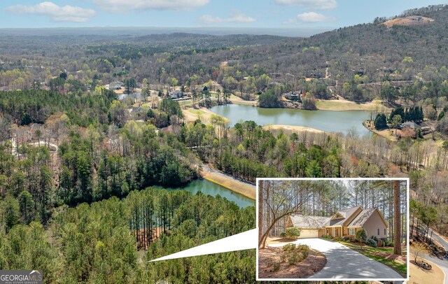 404 Golden Delicious Rd, Clarkesville, GA 30523 - aerial view with a wooded view and a water view