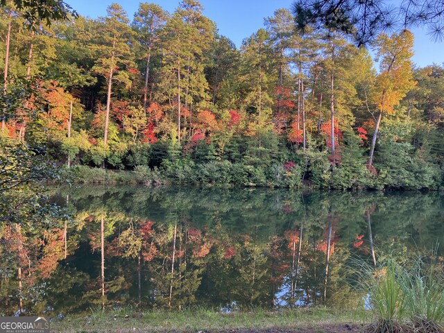 404 Golden Delicious Rd, Clarkesville, GA 30523 - view of nature with a forest view