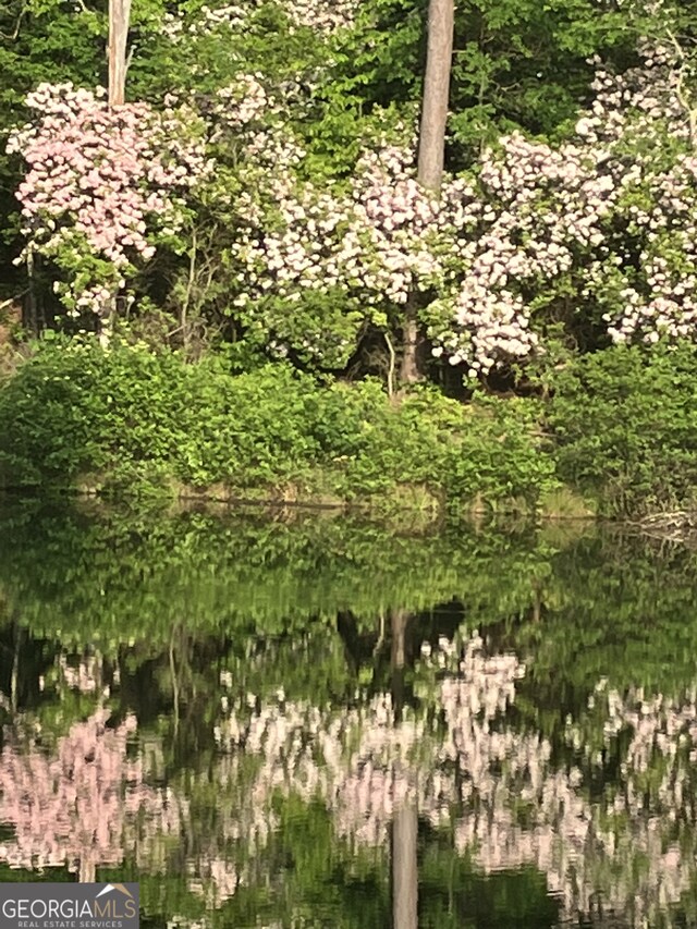 404 Golden Delicious Rd, Clarkesville, GA 30523 - view of landscape