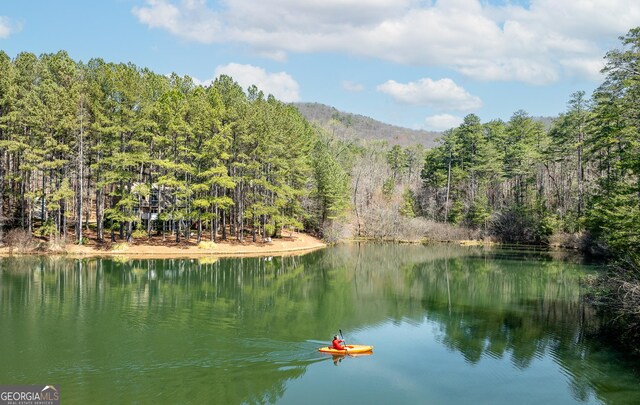 404 Golden Delicious Rd, Clarkesville, GA 30523 - water view featuring a wooded view