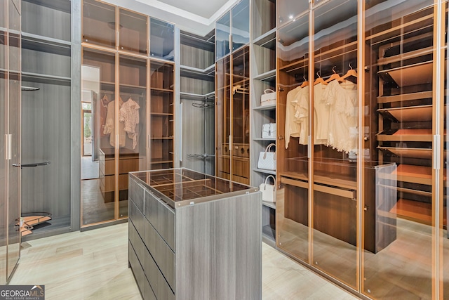 view of walk in closet