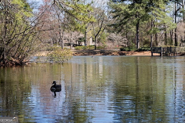 3772 Paces Ferry W SE, Atlanta, GA 30339 - water view