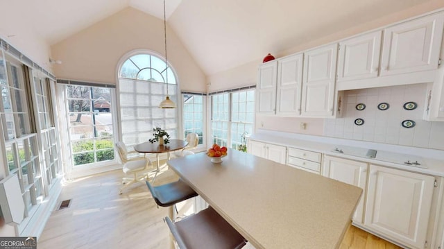 kitchen with a wealth of natural light, light wood-style floors, and light countertops
