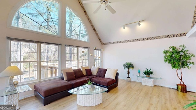 living area featuring track lighting, a wealth of natural light, wood finished floors, and high vaulted ceiling