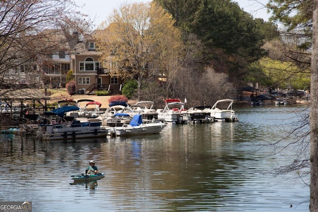 dock area with a water view