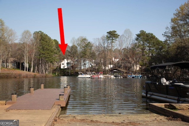 dock area featuring a water view