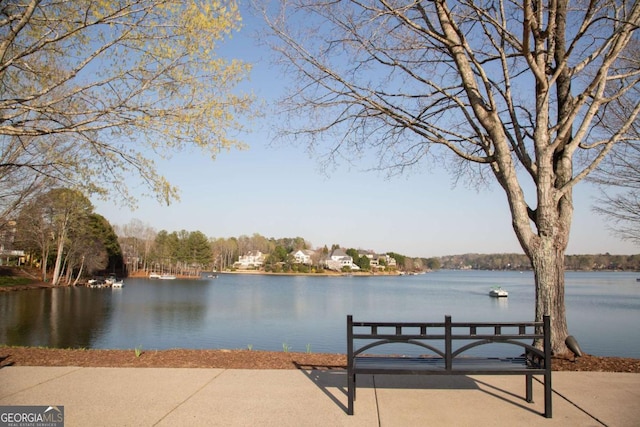 dock area with a water view