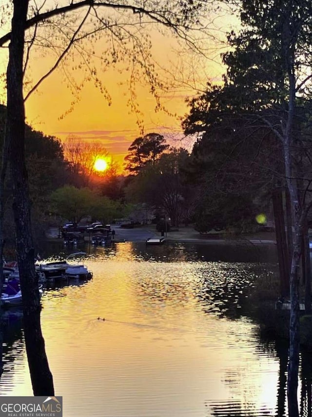 property view of water featuring a boat dock