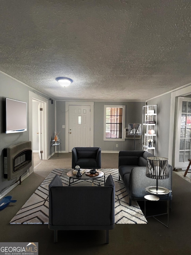 1911 Park Ave S, Tifton, GA 31794 - living room featuring heating unit, carpet flooring, a textured ceiling, and baseboards
