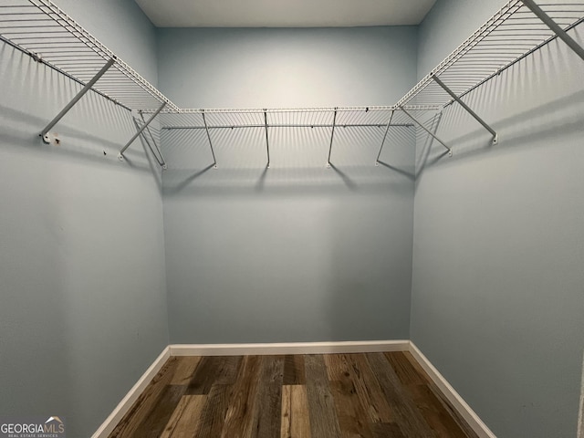 411 Woodland Dr, Hinesville, GA 31313 - walk in closet with dark wood-style floors