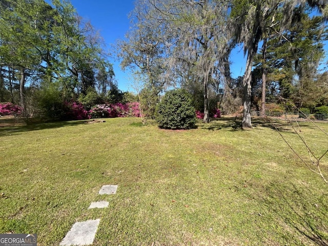 411 Woodland Dr, Hinesville, GA 31313 - view of yard