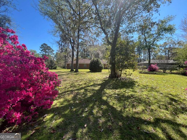 411 Woodland Dr, Hinesville, GA 31313 - view of yard