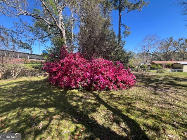 411 Woodland Dr, Hinesville, GA 31313 - view of yard featuring fence