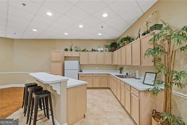 kitchen featuring freestanding refrigerator, light countertops, a sink, and light brown cabinets