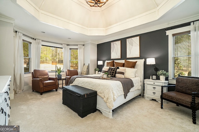 3227 Aviary Ct NW, Acworth, GA 30101 - bedroom featuring light colored carpet, multiple windows, ornamental molding, and a tray ceiling