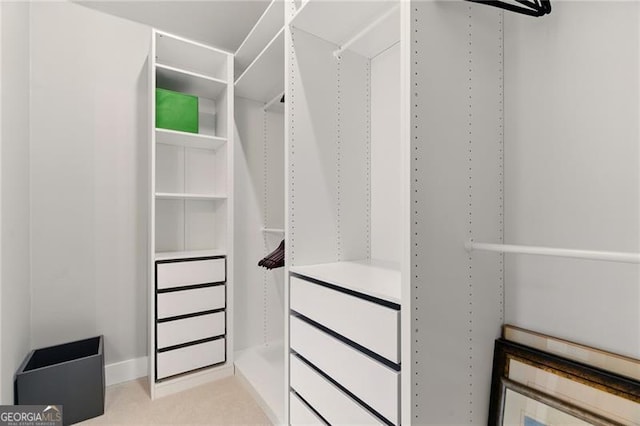 view of spacious closet