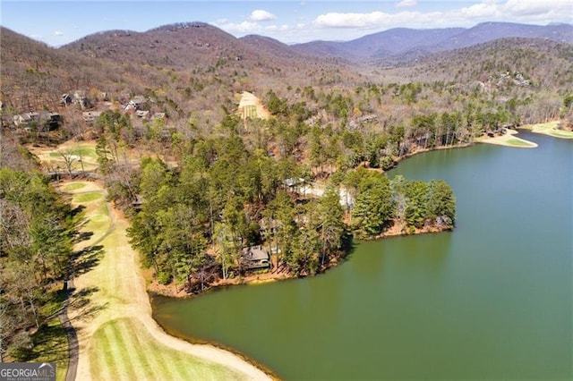 birds eye view of property featuring a view of trees and a water and mountain view