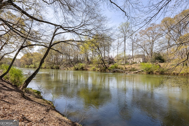 3847 Sweet Bottom Dr, Duluth, GA 30096 - water view