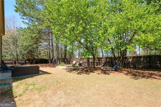 view of yard with a fenced backyard and a patio area