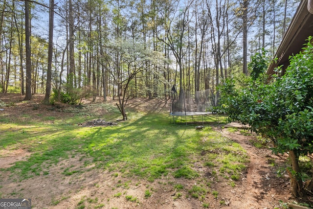 view of yard featuring a trampoline