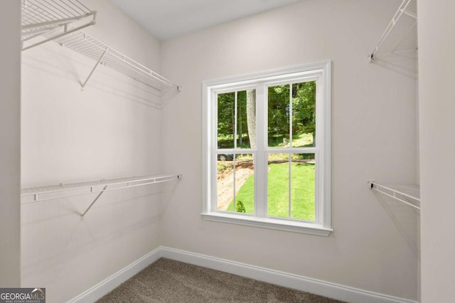 spacious closet with carpet floors