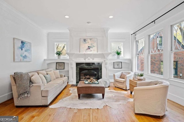 living room with wood finished floors, a premium fireplace, and plenty of natural light