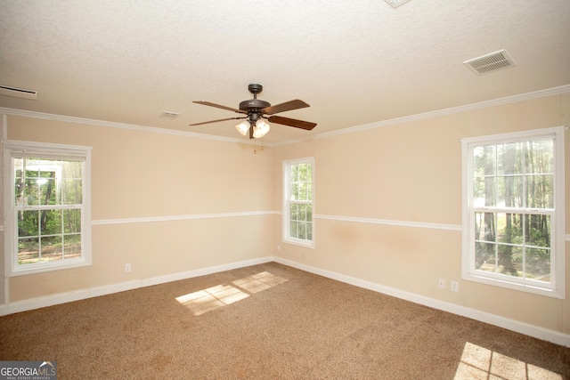 carpeted spare room with a wealth of natural light, baseboards, visible vents, and a textured ceiling