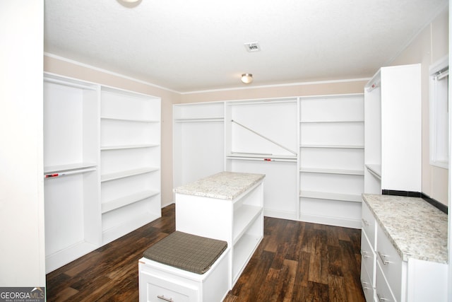 walk in closet featuring visible vents and dark wood-type flooring