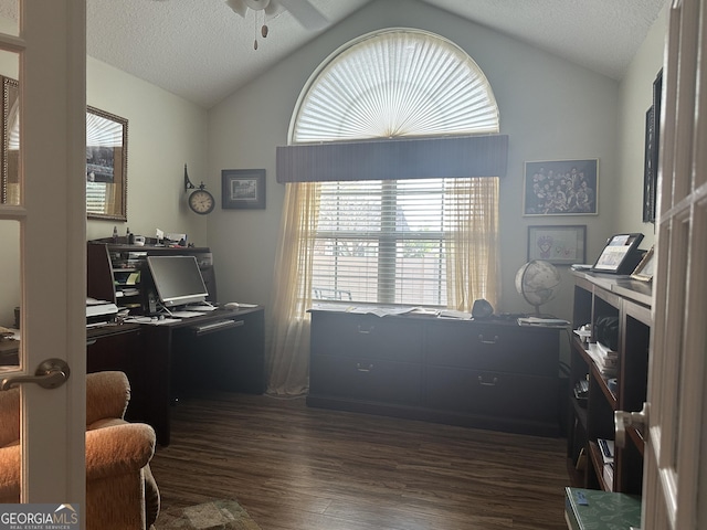 227 Fenwick Cir, Mcdonough, GA 30253 - office area featuring a ceiling fan, dark wood finished floors, vaulted ceiling, and a textured ceiling