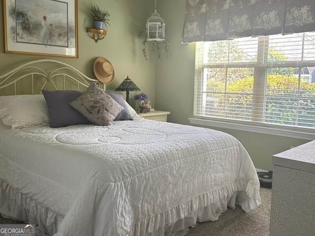 227 Fenwick Cir, Mcdonough, GA 30253 - view of carpeted bedroom