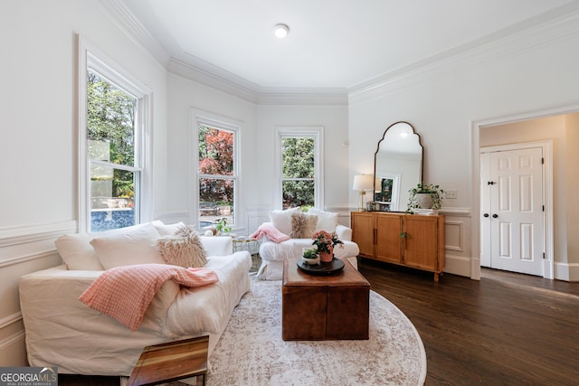 sitting room featuring crown molding, wainscoting, and dark wood-type flooring