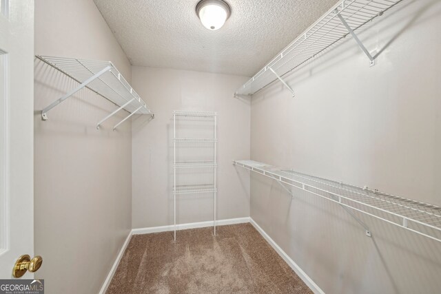 3936 Toccoa Falls Dr, Duluth, GA 30097 - walk in closet featuring carpet