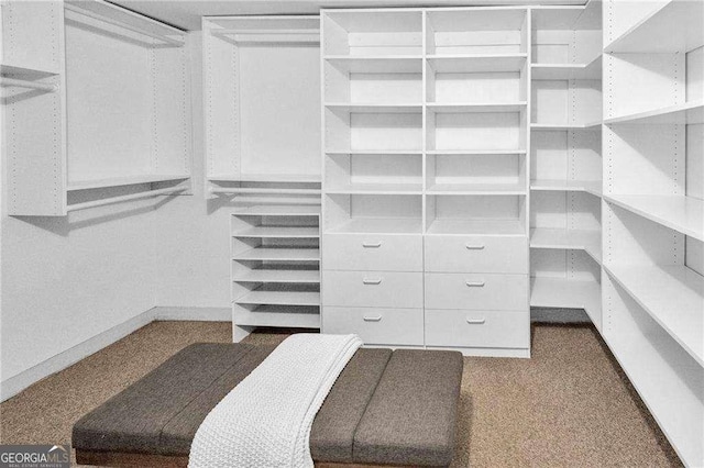 656 Channing Dr NW, Atlanta, GA 30318 - spacious closet with carpet floors