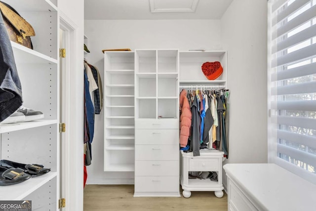 spacious closet featuring light wood-type flooring