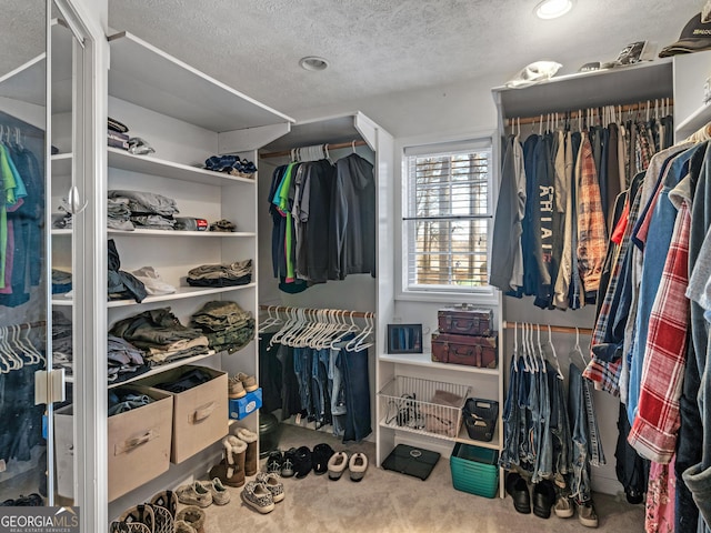 walk in closet featuring carpet