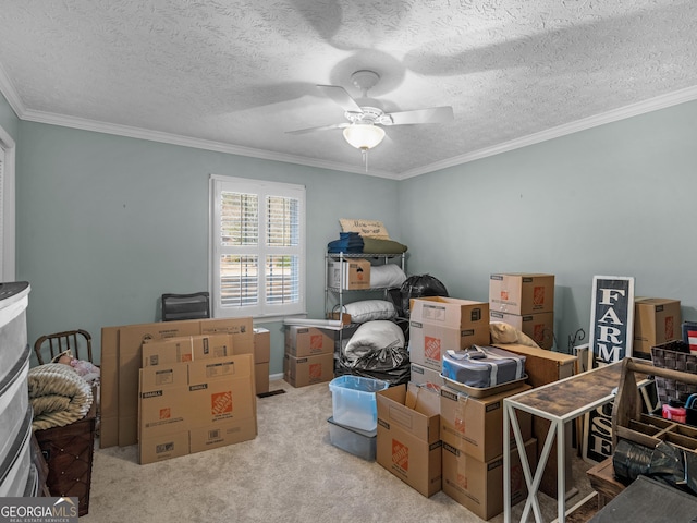 storage featuring a ceiling fan