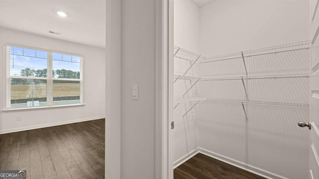1099 Blue Juniper Cir, Loganville, GA 30052 - view of pantry
