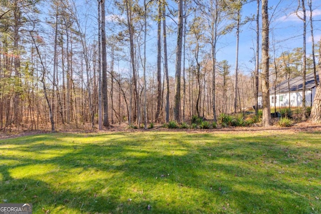 8166 N Pine Cone Dr, Villa Rica, GA 30180 - view of yard