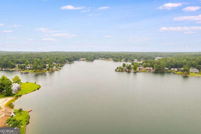 8166 N Pine Cone Dr, Villa Rica, GA 30180 - view of water feature with a view of trees