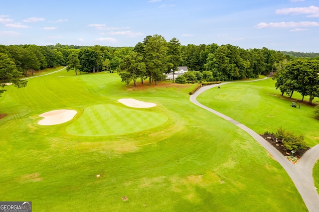 8166 N Pine Cone Dr, Villa Rica, GA 30180 - view of property's community with view of golf course