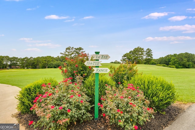 8166 N Pine Cone Dr, Villa Rica, GA 30180 - exterior space