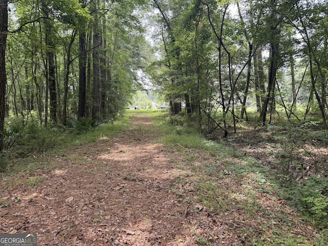 27ACRES W S Highway 17, Townsend, GA 31331